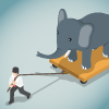 Elephant in the room whitepaper canadian edition